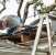Clinton 24 Hour Emergency Roofing by Roofing Crew of Knoxville